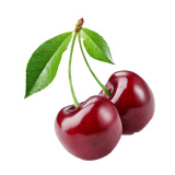 غذاء 11