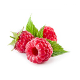 غذاء 3