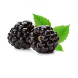غذاء 12