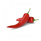 Ajvar Üretim Hattı